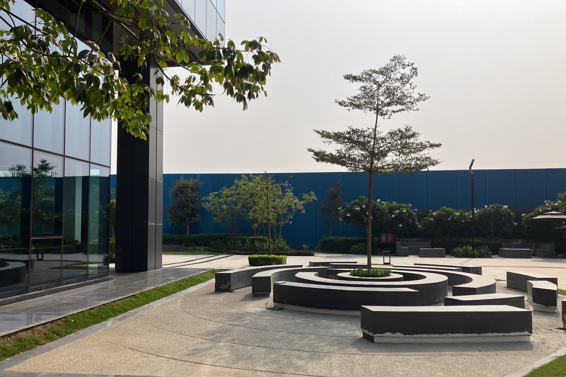 A place to look to the future