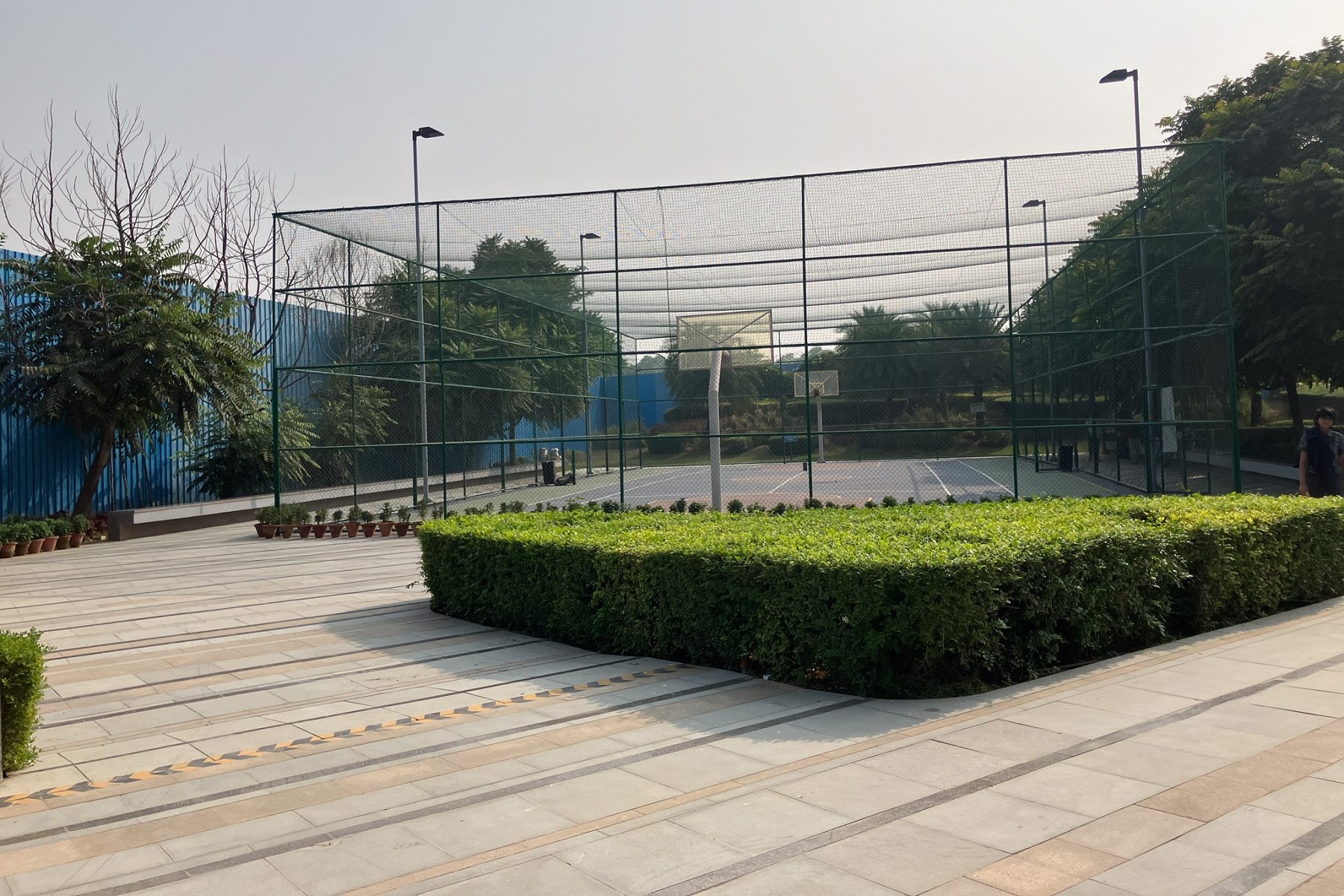 Support teammates and take part in friendly competition